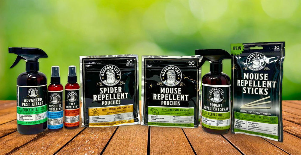 deal banner image_15
